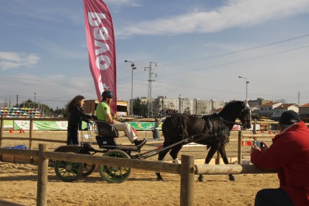 Feira Grande da Trofa.