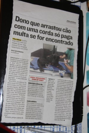 Lamentavelmente em Portugal ainda se pode fazer mal a um animal seja ele qual for e sair impone.